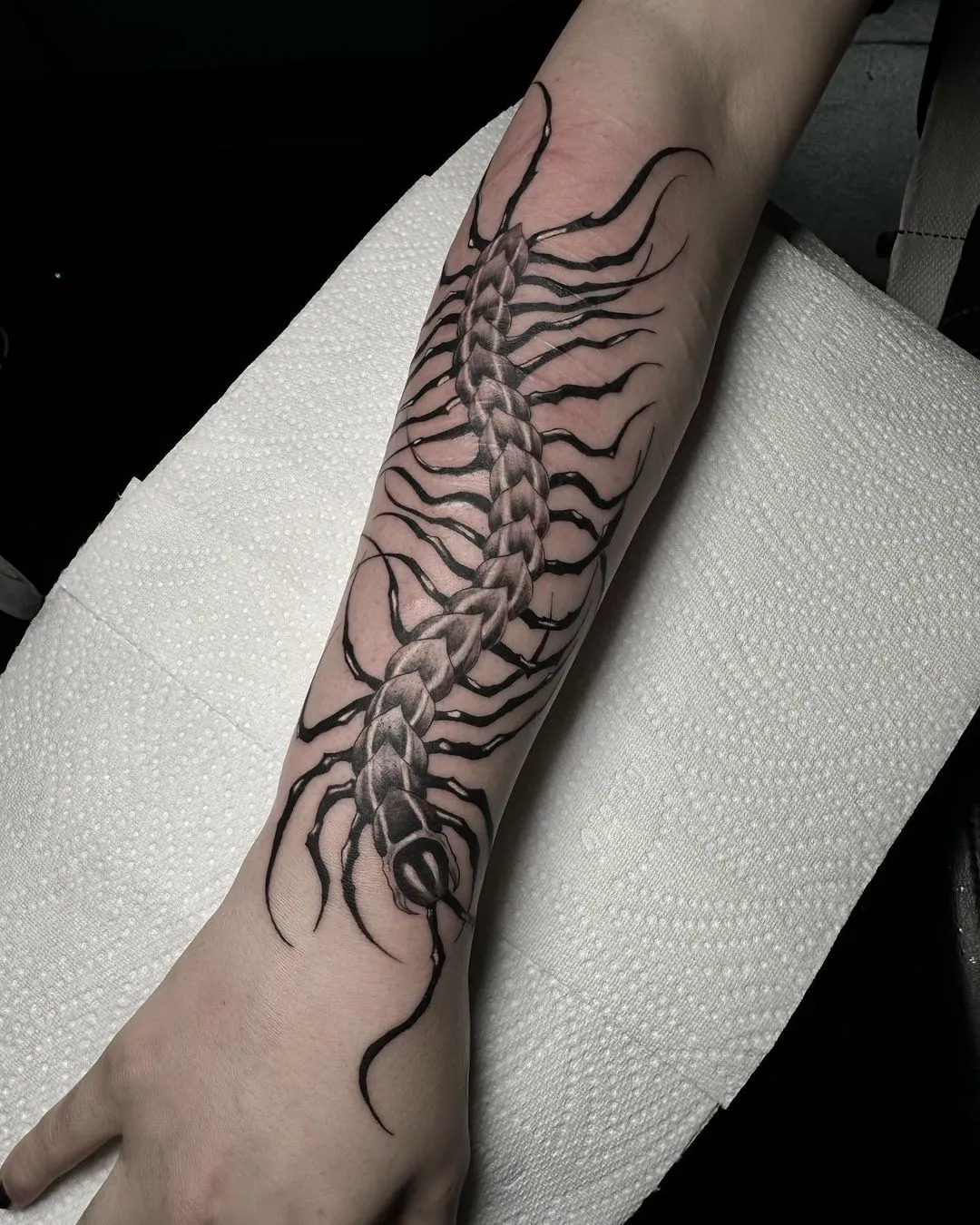 Centipede Tattoo